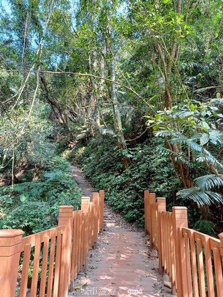 20230312_095306.jpg 20230312_095306.jpg