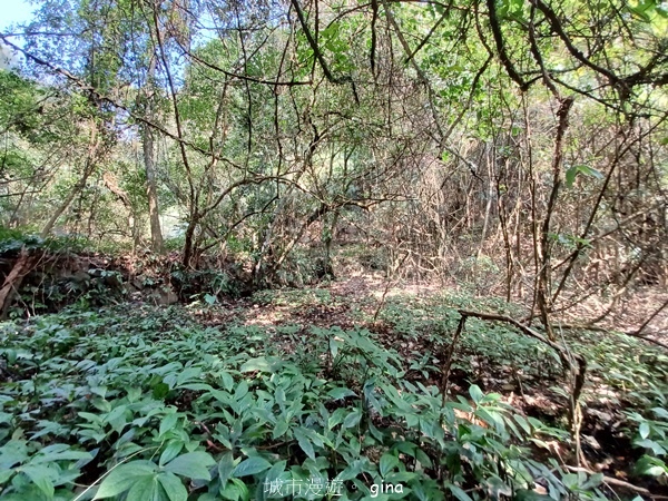 20230312_095919.jpg 20230312_095919.jpg