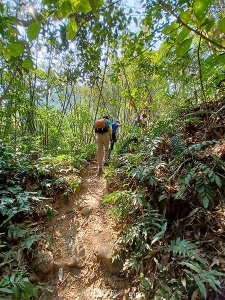 20230312_095434.jpg 20230312_095434.jpg