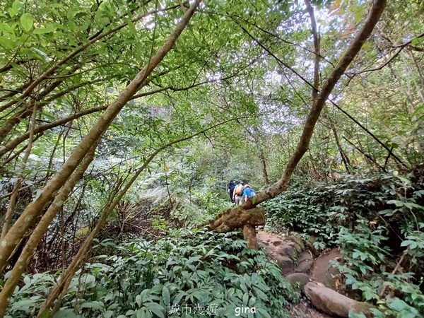 20230312_100930.jpg 20230312_100930.jpg