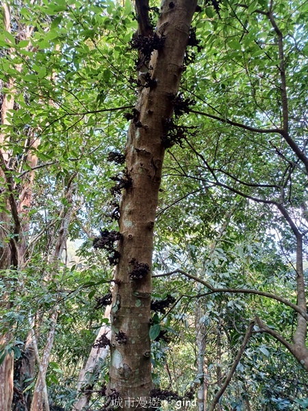 20230312_102710.jpg 20230312_102710.jpg