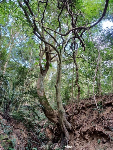 20230312_103856.jpg 20230312_103856.jpg