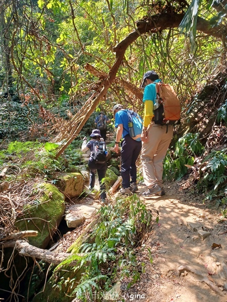 20230312_102955.jpg 20230312_102955.jpg