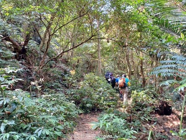 20230312_103238.jpg 20230312_103238.jpg