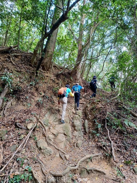 20230312_103909.jpg 20230312_103909.jpg