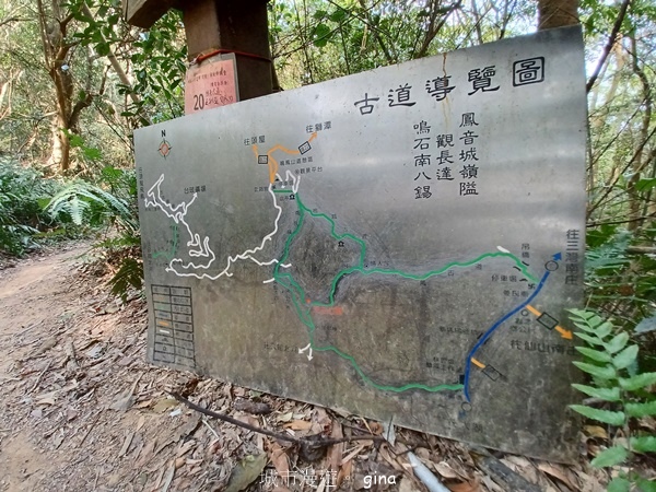 20230312_110316.jpg 20230312_110316.jpg