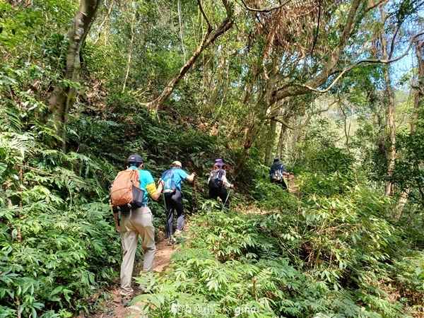 20230312_111038.jpg 20230312_111038.jpg