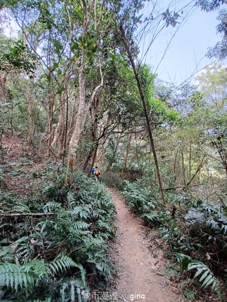 20230312_110514.jpg 20230312_110514.jpg