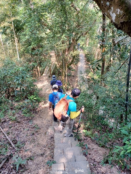 20230312_114133.jpg 20230312_114133.jpg