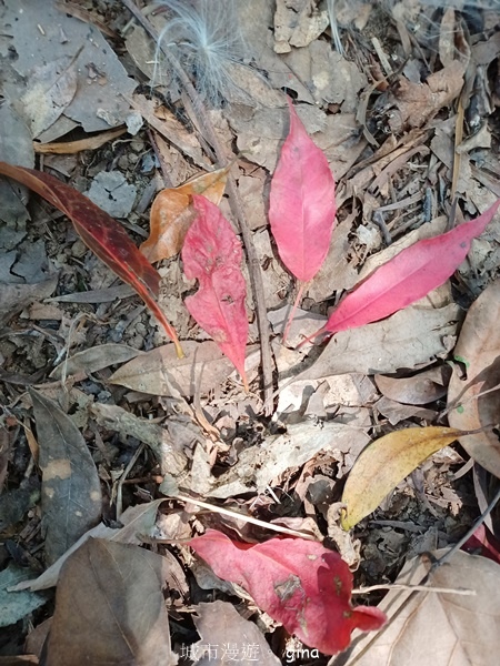 20230312_113856.jpg 20230312_113856.jpg