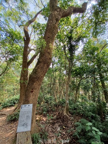 20230312_112430.jpg 20230312_112430.jpg