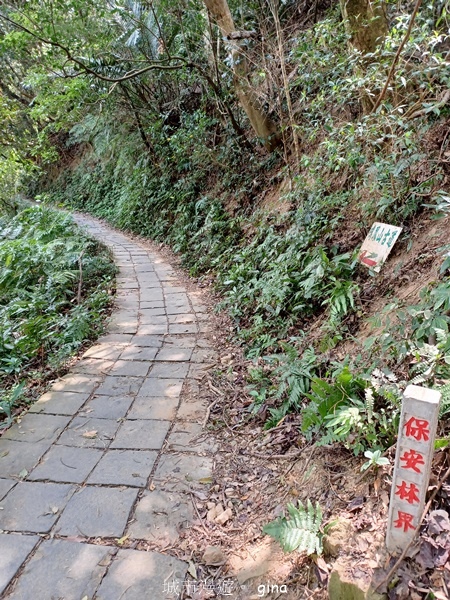 20230312_114218.jpg 20230312_114218.jpg