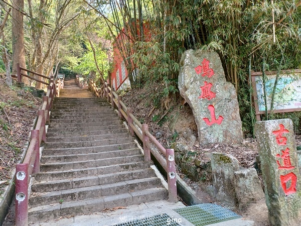 20230312_115451.jpg 20230312_115451.jpg