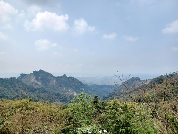 20230312_124616.jpg 20230312_124616.jpg