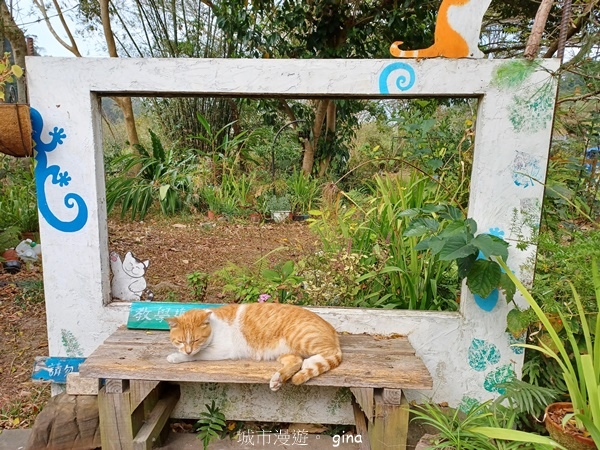 20230312_132018.jpg 20230312_132018.jpg