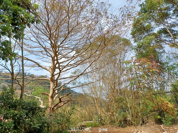 20230312_132254.jpg 20230312_132254.jpg