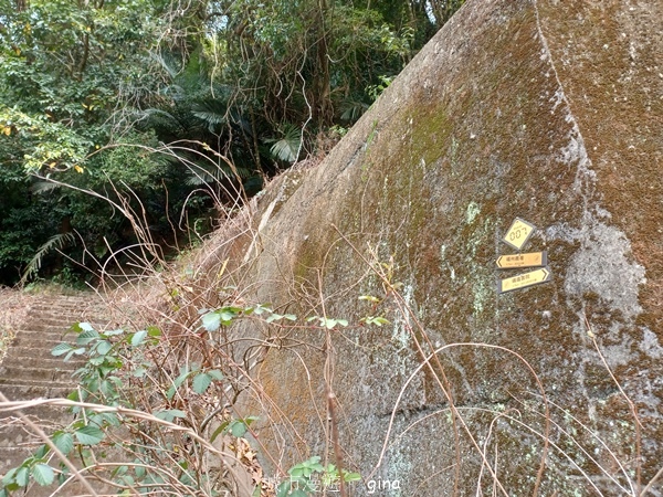 20230318_122153.jpg