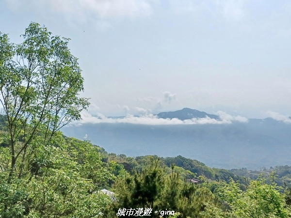 20230402_093854.jpg 20230402_093854.jpg