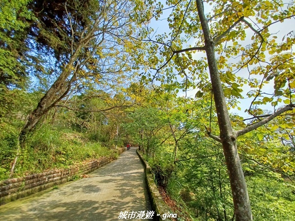 20230402_094553.jpg 20230402_094553.jpg