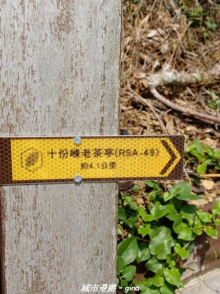 20230402_094139.jpg 20230402_094139.jpg