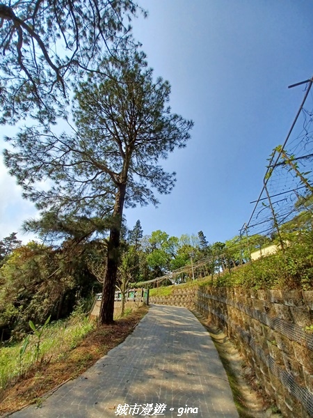 20230402_094812.jpg 20230402_094812.jpg