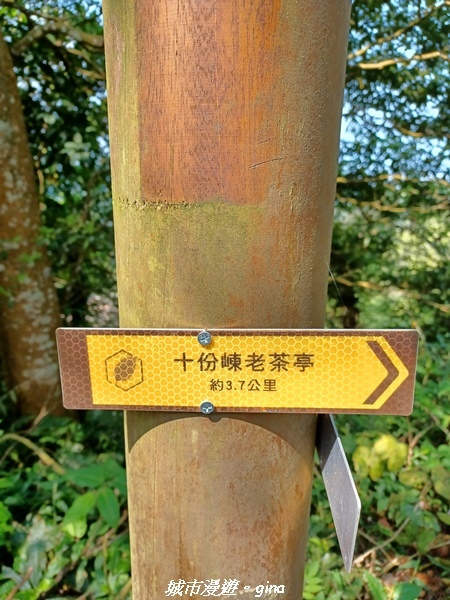 20230402_095111.jpg 20230402_095111.jpg