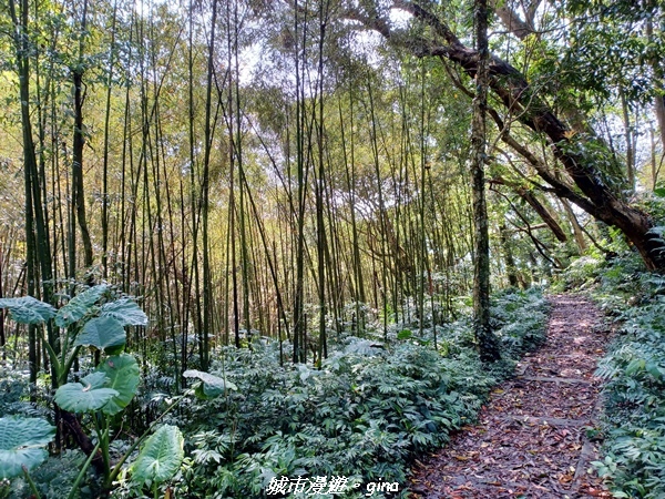 20230402_100458.jpg 20230402_100458.jpg