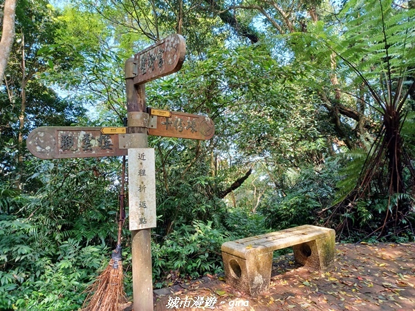 20230402_100506.jpg 20230402_100506.jpg