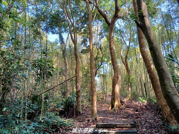 20230402_102557.jpg 20230402_102557.jpg