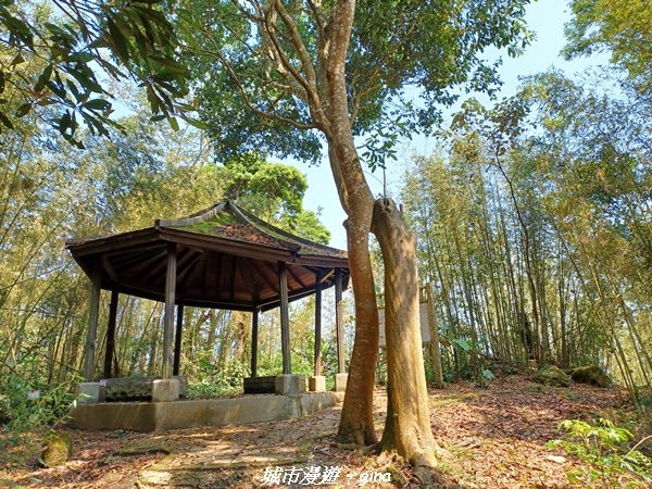 20230402_102709.jpg 20230402_102709.jpg