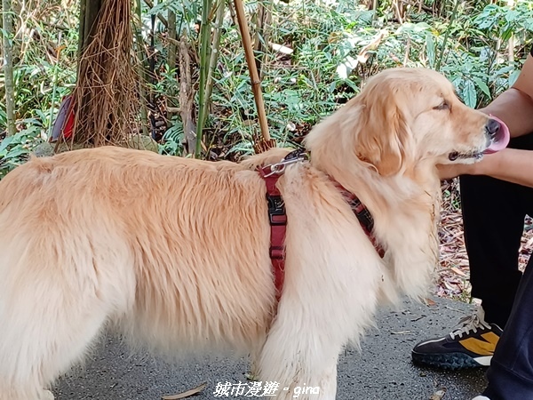 20230402_104411.jpg 20230402_104411.jpg