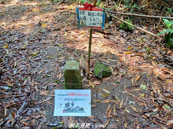 20230402_103016.jpg 20230402_103016.jpg