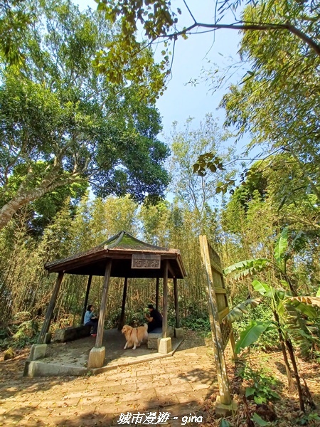 20230402_104539.jpg 20230402_104539.jpg