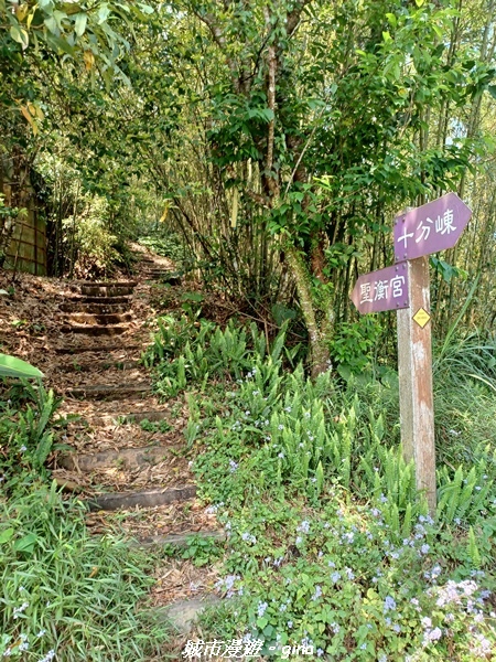 20230402_104943.jpg 20230402_104943.jpg