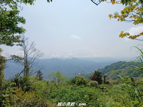 20230402_105005.jpg 20230402_105005.jpg