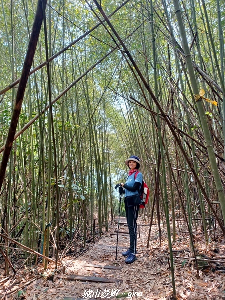 20230402_105649.jpg 20230402_105649.jpg