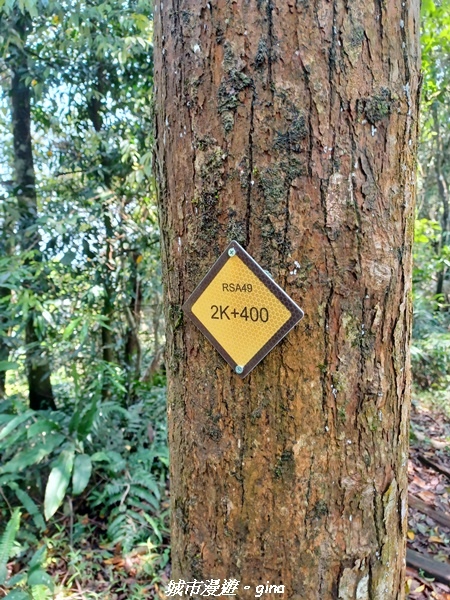 20230402_110344.jpg 20230402_110344.jpg