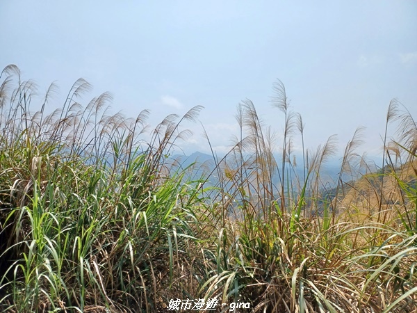 20230402_110207.jpg 20230402_110207.jpg