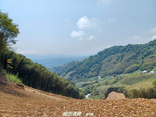 20230402_110849.jpg 20230402_110849.jpg