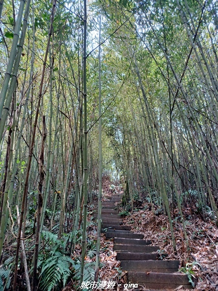 20230402_111222.jpg 20230402_111222.jpg