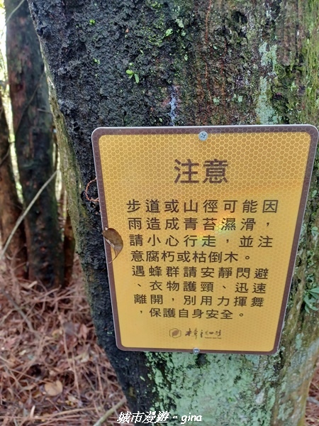 20230402_111549.jpg 20230402_111549.jpg