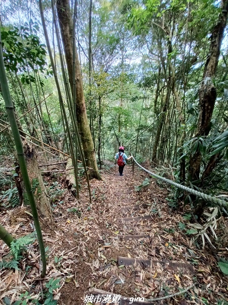 20230402_112528.jpg 20230402_112528.jpg