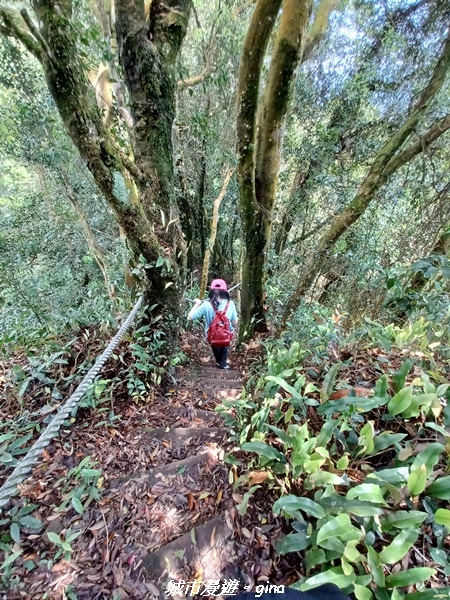 20230402_113935.jpg 20230402_113935.jpg