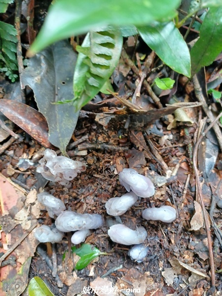 20230402_114254.jpg 20230402_114254.jpg