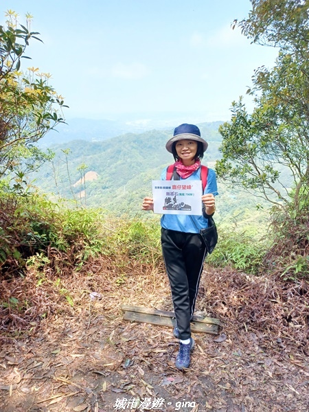 20230402_114855.jpg 20230402_114855.jpg