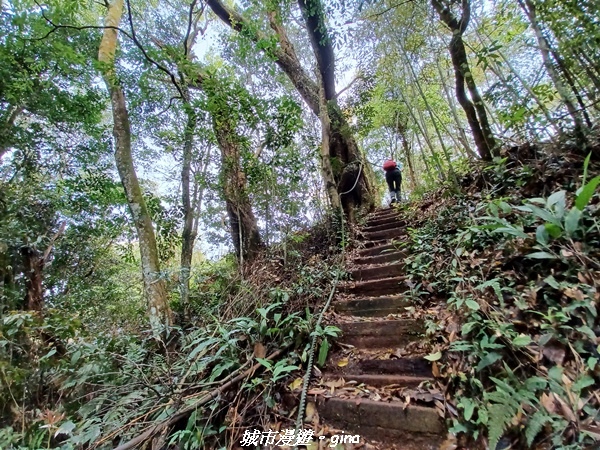 20230402_114616.jpg 20230402_114616.jpg