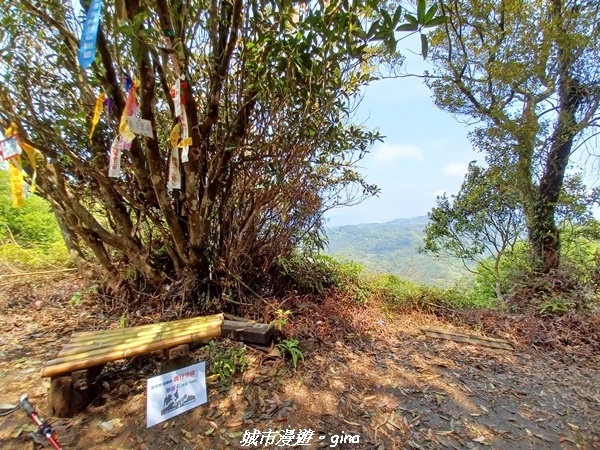 20230402_114924.jpg 20230402_114924.jpg