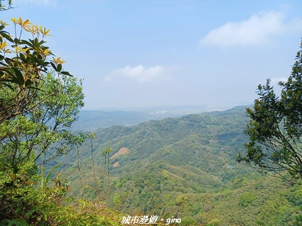 20230402_115049.jpg 20230402_115049.jpg