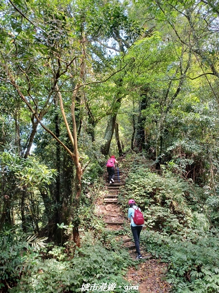 20230402_120628.jpg 20230402_120628.jpg