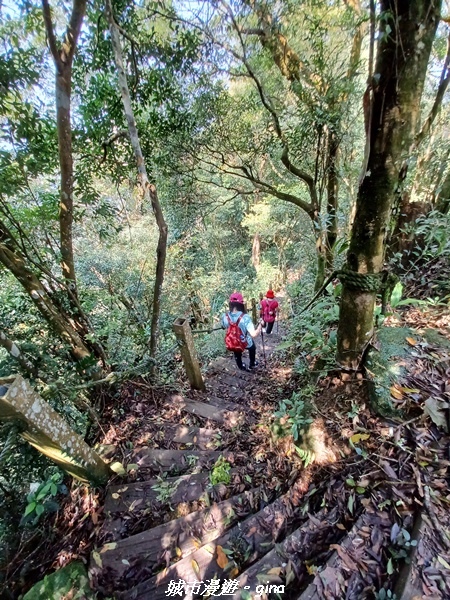 20230402_121803.jpg 20230402_121803.jpg